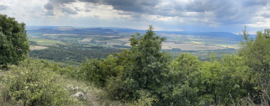 Kép szöveg